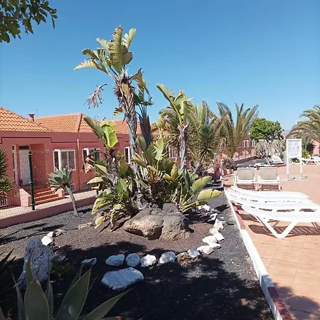 Art * 科斯塔德安提瓜