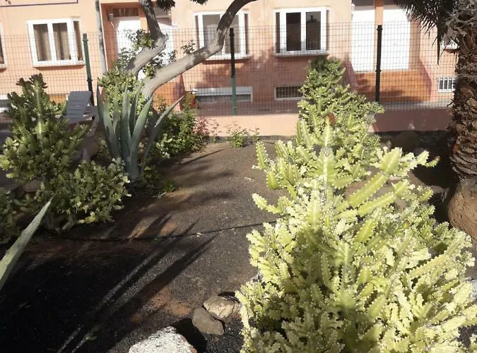 Art דירה קוסטה דה אנטיגואה